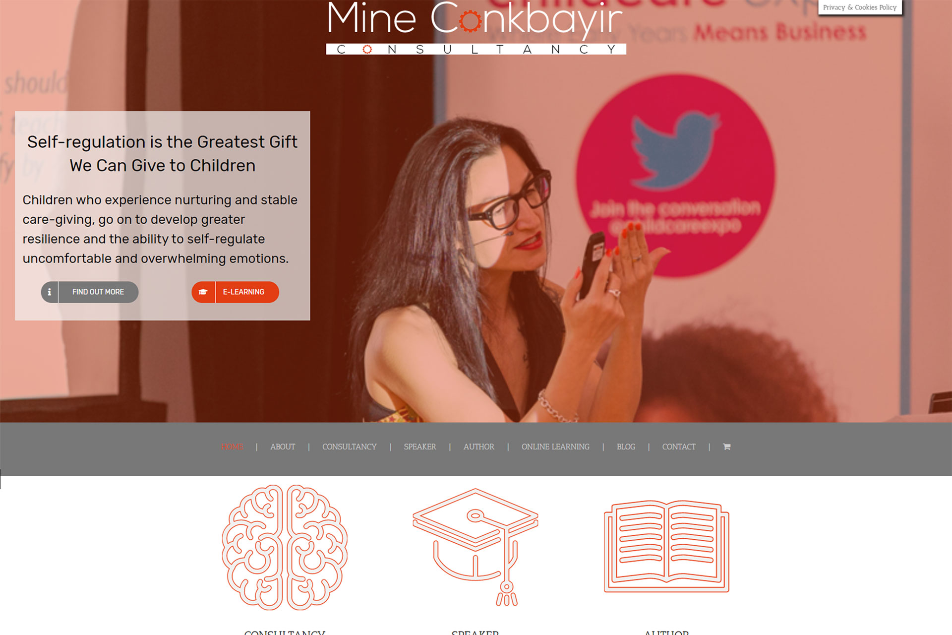 Screenshot of the Mine Conkbayir Consultancy home page designed by Picture Engine