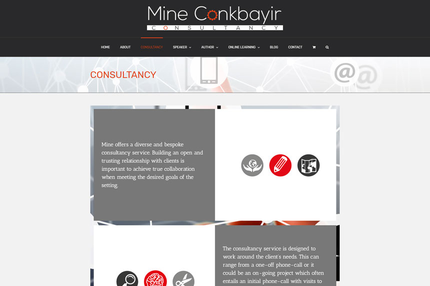 Mine Conkbayir consultancy website screenshot