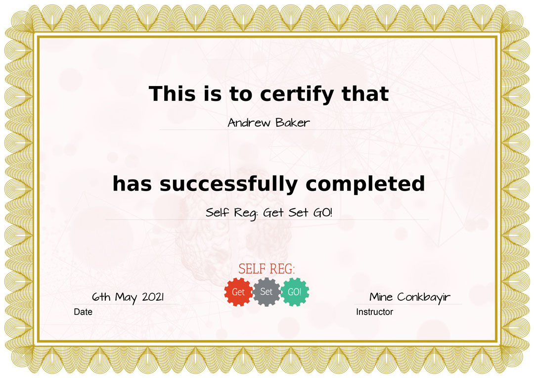 Example of the downloadable certificate